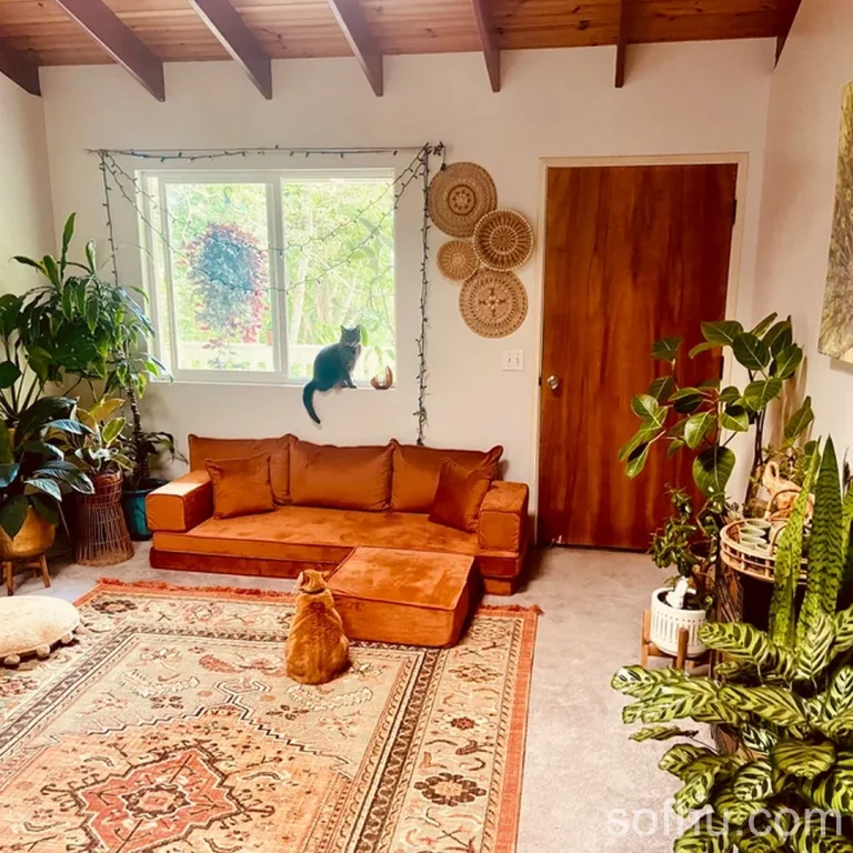 Arabic Sofa In Colorado