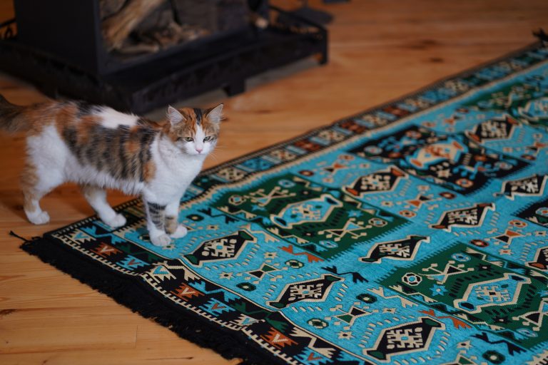 Arabic Sofa In Indiana