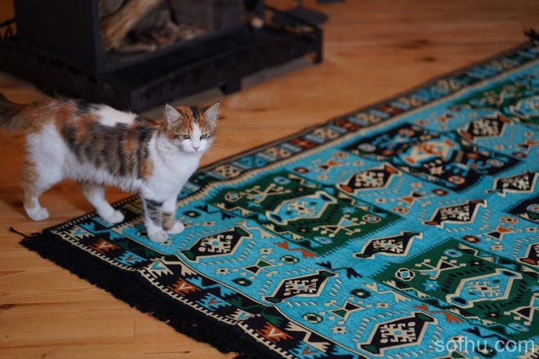 Kilim-Rugs