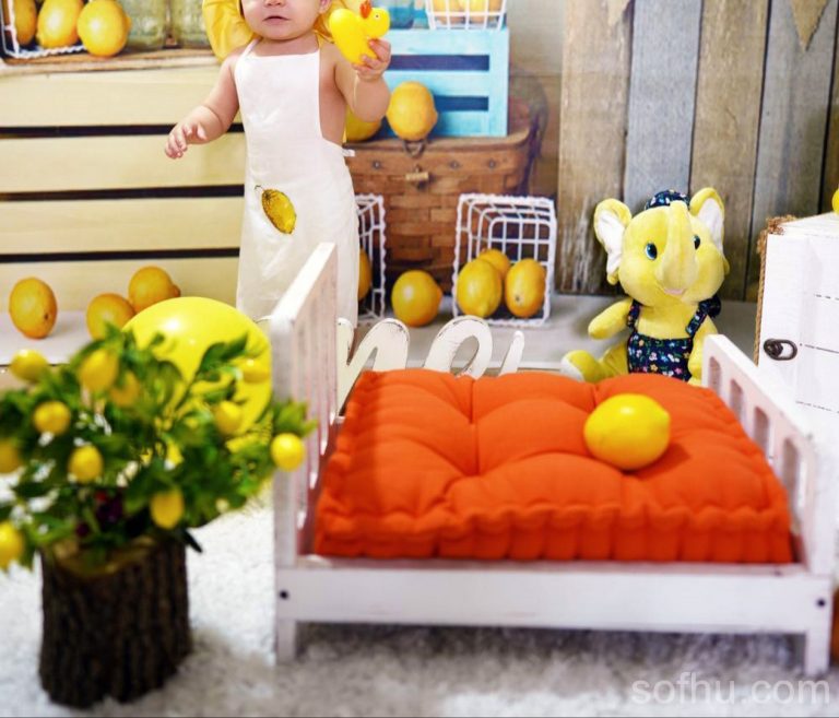 French Modern Cushions From Sofhu