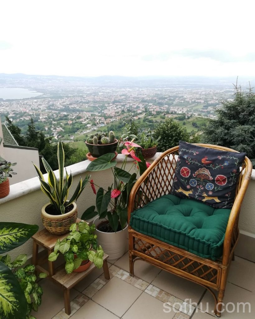 French Modern Cushions From Sofhu